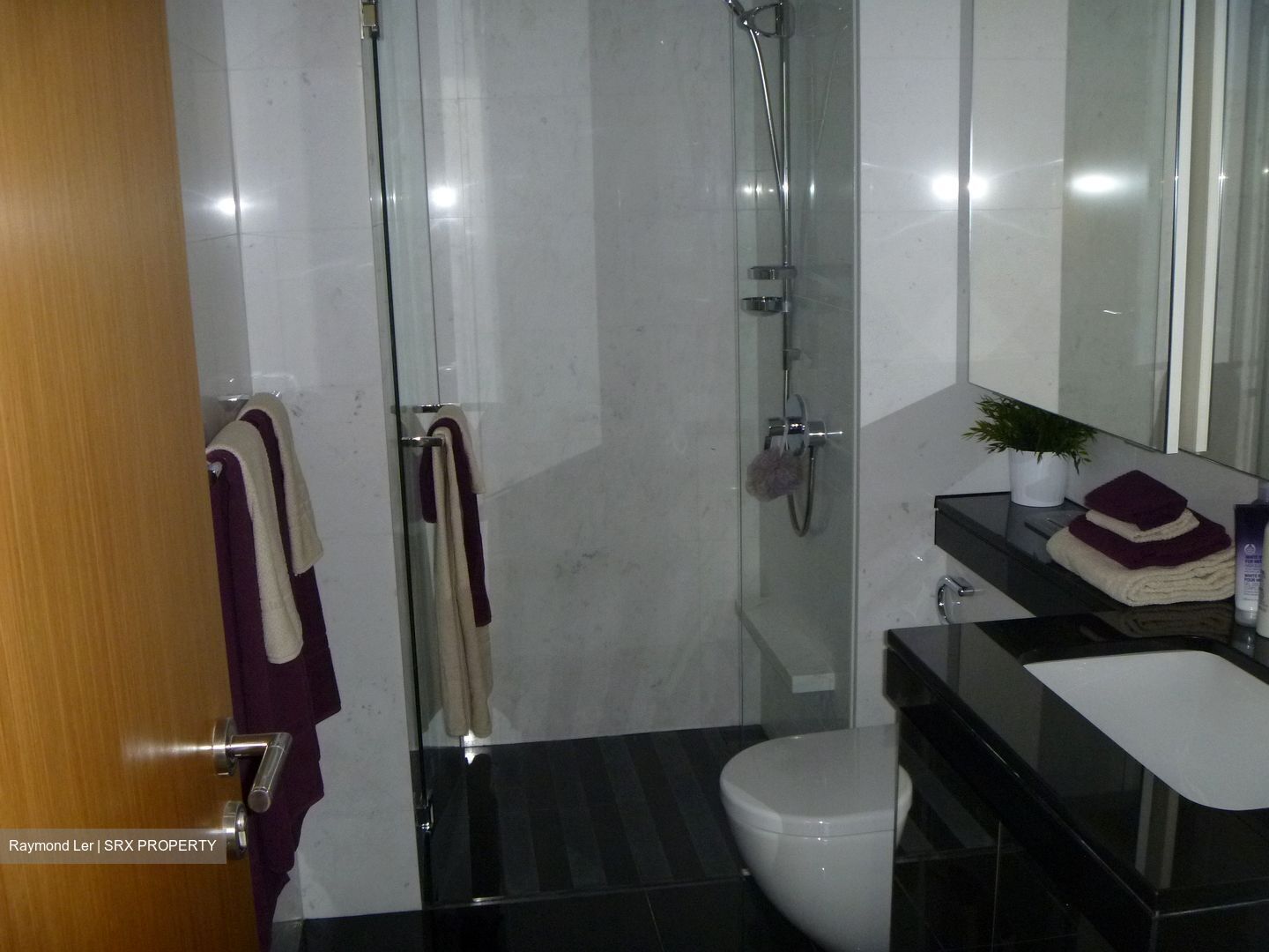 Paterson Suites (D9), Condominium #381255111